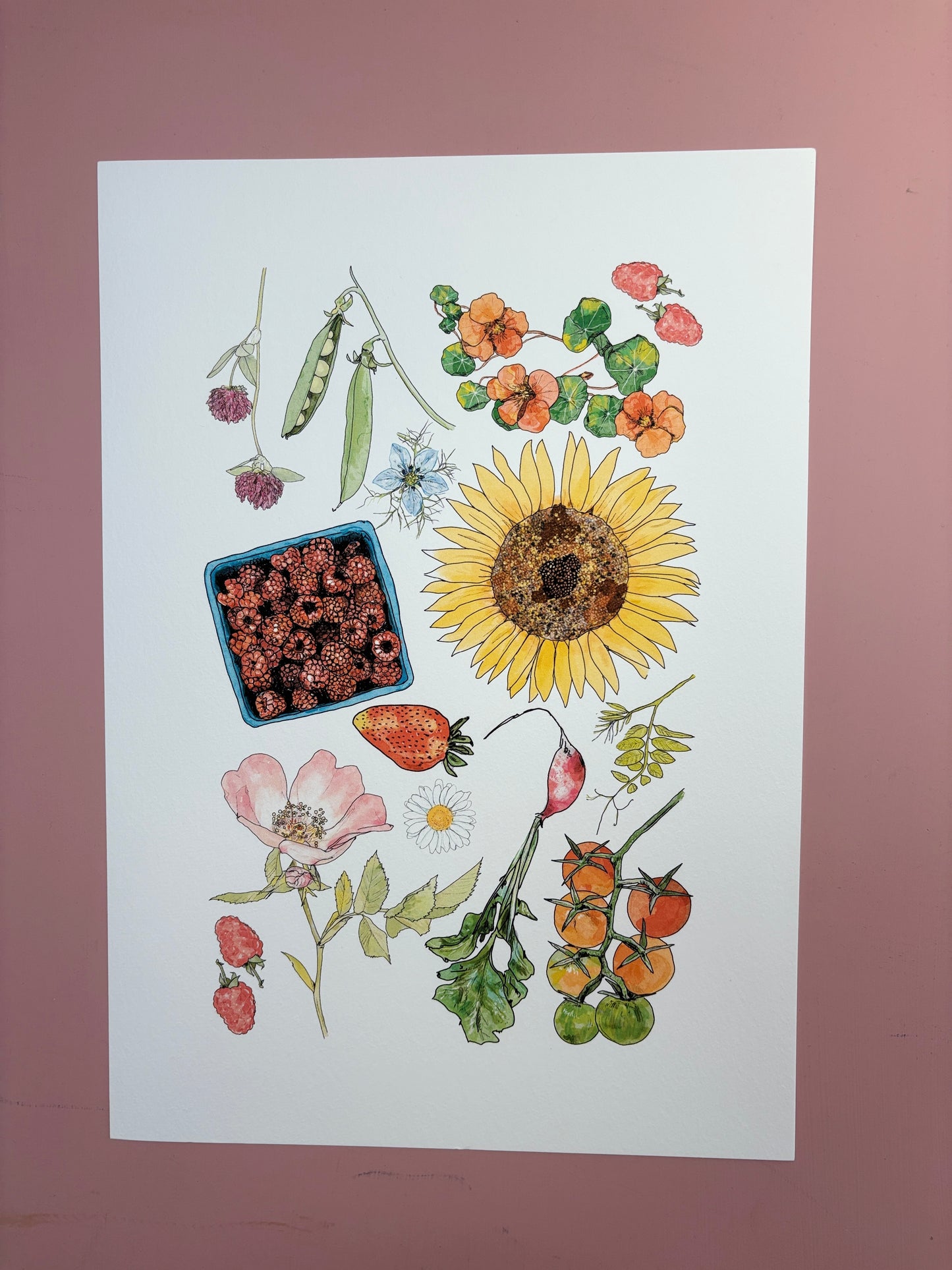 Summer gatherings | Pink | A4 Illustrated Print