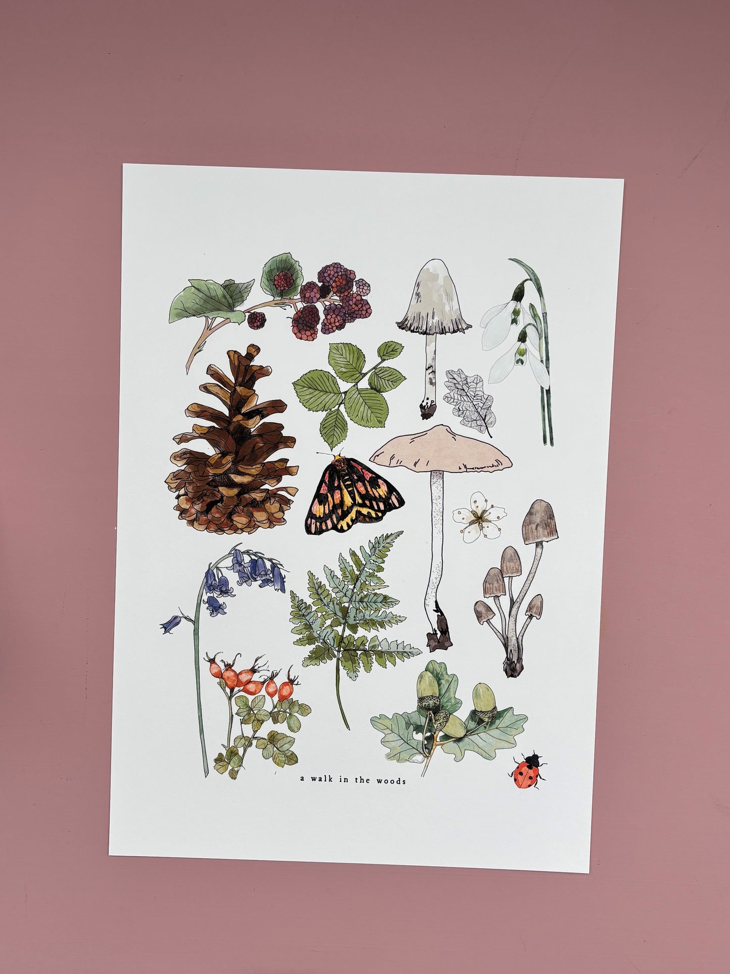 A walk in the woods | A4 Illustrated Print