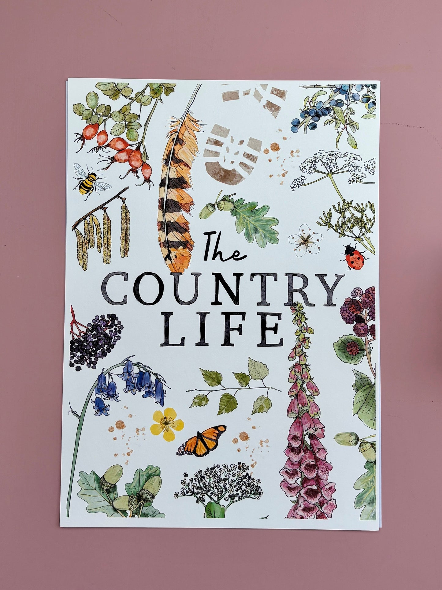 The Country Life | A4 Illustrated Print