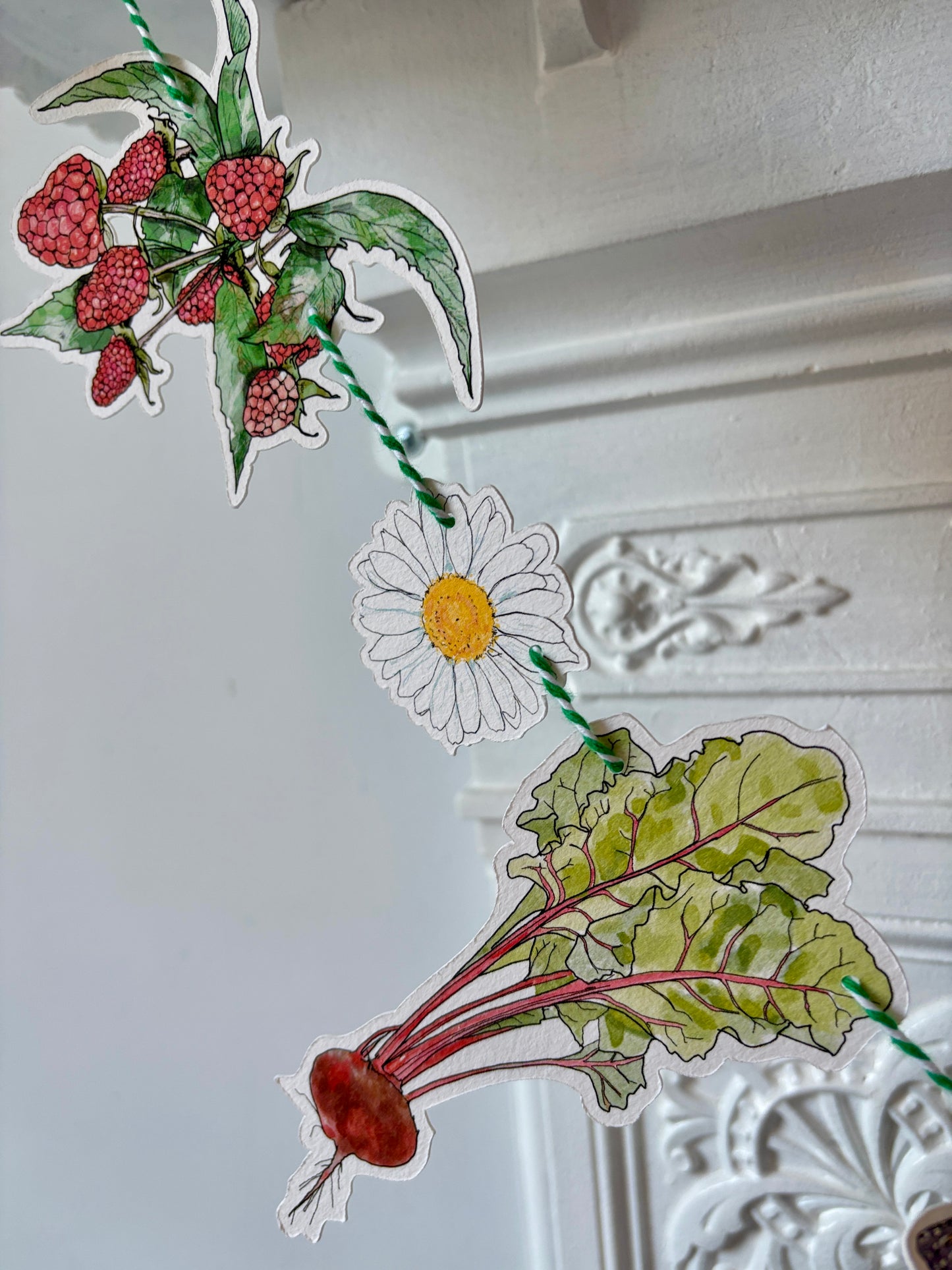 Summer Edition Illustrated Garland