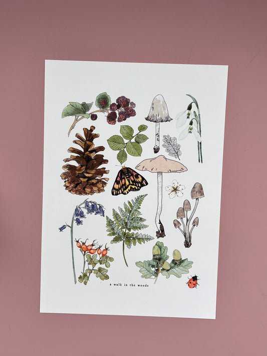 A walk in the woods | A4 Illustrated Print