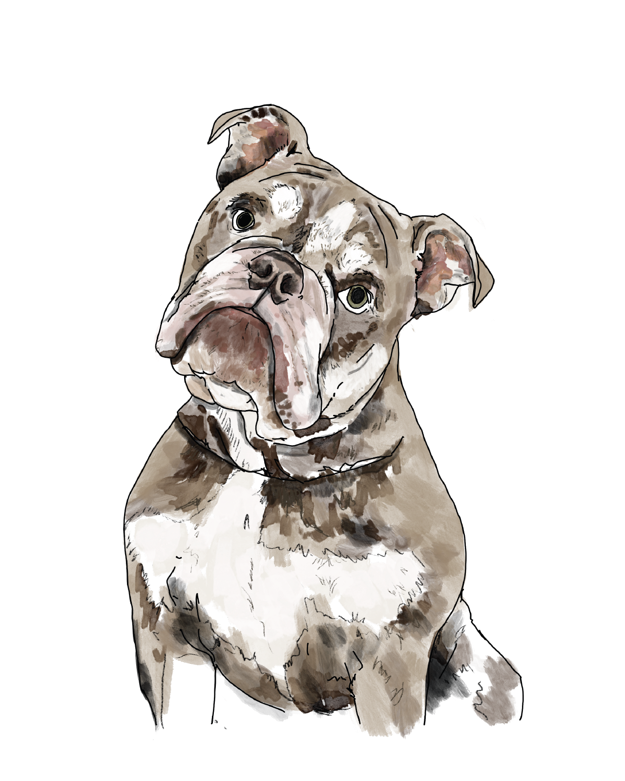 Pet portrait | Bespoke commission | A4 print only