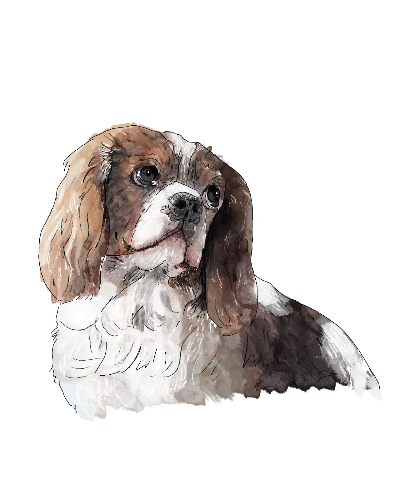 Pet portrait | Bespoke commission | A4 print only