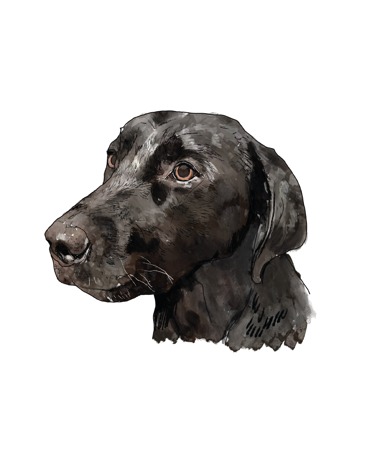 Pet portrait | Bespoke commission | A4 print only