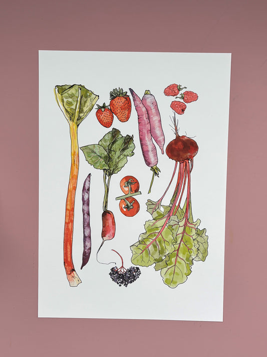 Veg plot gatherings | Pink  | A4 Illustrated Print