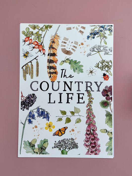 The Cottage Life | A4 Illustrated Print